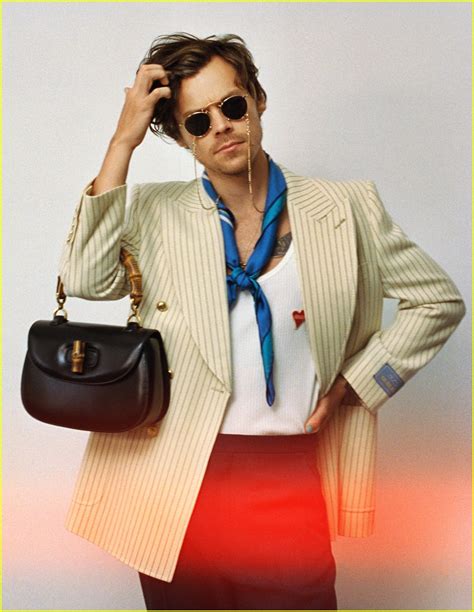 occhiali da sole gucci harry styles|Harry Styles handbags.